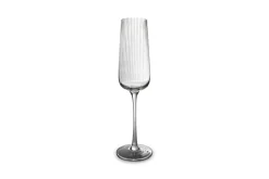 ohgreen Champagneglas 24cl ray - set/4