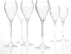 ohgreen Champagneglas cuvée - set van 6