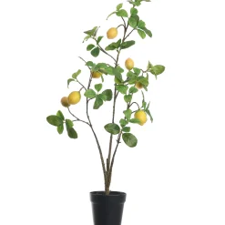 ohgreen Citroenplant geel pot 105 cm