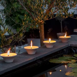 ohgreen Citronellakaars in witte schaal - Ginger Love