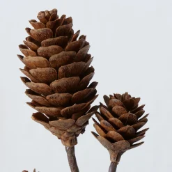 ohgreen Decoratietak