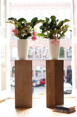 ohgreen Diamond hoog 27cm