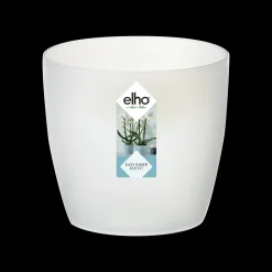 ohgreen Diamond orchidee 12,5cm