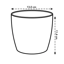 ohgreen Diamond orchidee 12,5cm