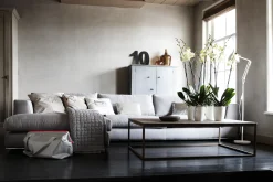 ohgreen Diamond orchidee hoog 12,5cm