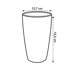 ohgreen Diamond orchidee hoog 12,5cm