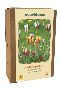 ohgreen Doos 'everbloom' met 20 bloembollen tulipa belle tulipa mix