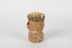 ohgreen Droogbloemen