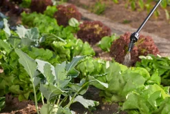 ohgreen Druksproeier Hobby Star 5