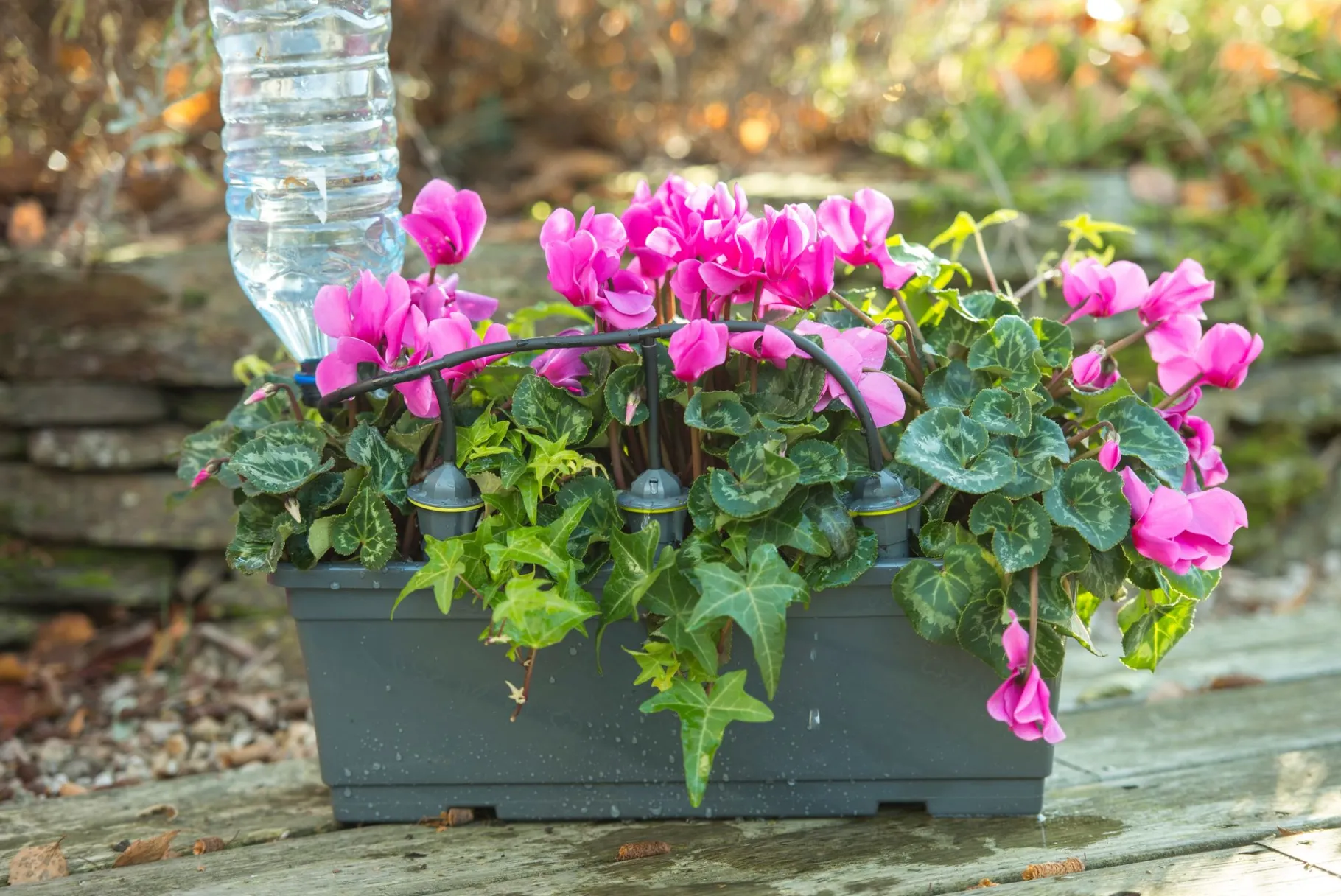 ohgreen Druppelsysteem