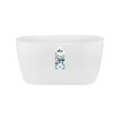 ohgreen Duo orchidee 25cm