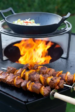 ohgreen Dynamic Centre / Wok & Dutch oven houder