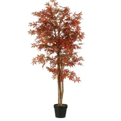 ohgreen Esdoorn in pot - h165xd80