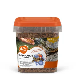 ohgreen Gammarus grof