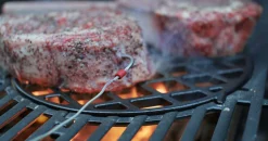 ohgreen Gasbarbecue spirit epx-315 premium gbs