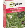 ohgreen Gazonzaad herstelgazon 1kg