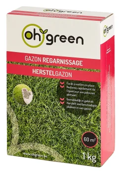 ohgreen Gazonzaad herstelgazon 1kg