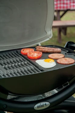 ohgreen Geitijzer bakplaat klein