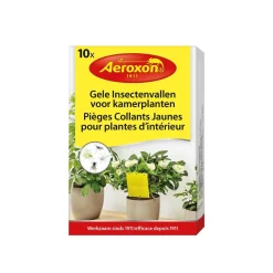 ohgreen Gele insectenvallen voor kamerplanten