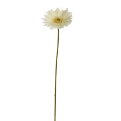 ohgreen Gerbera creme 56 cm