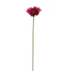ohgreen Gerbera lavendel 56 cm