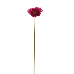 ohgreen Gerbera lavendel 56 cm