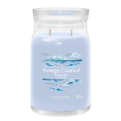 ohgreen Geurkaars ocean air l jar
