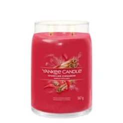 ohgreen Geurkaars sparkling cinna l jar