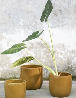 ohgreen Glazed shades Pot mosterd d22 h20