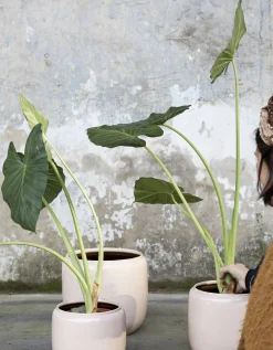 ohgreen Glazed shades Sierpot costa 18,5x18,5x19 roz