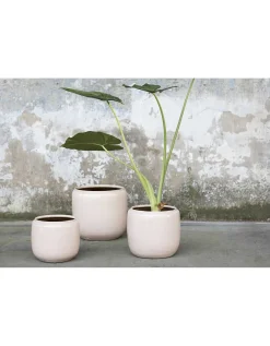 ohgreen Glazed shades Sierpot costa 18,5x18,5x19 roz