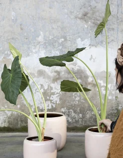 ohgreen Glazed shades Sierpot costa l21xb21xh21 roze