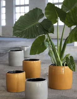 ohgreen Glazed shades Sierpot l38xb38xh38 honey