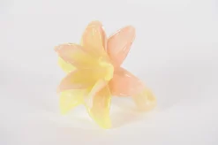 ohgreen Glazen amaryllis bloem