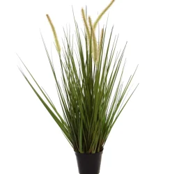 ohgreen Gras m/kattest pot 75cm groen