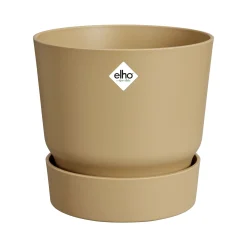 ohgreen Greenville rond