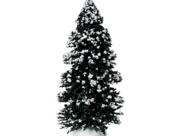 ohgreen Groenblijvende boom, groot