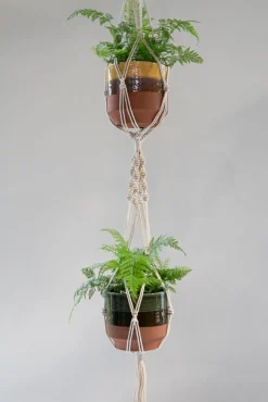 ohgreen Hanger Dindy duo