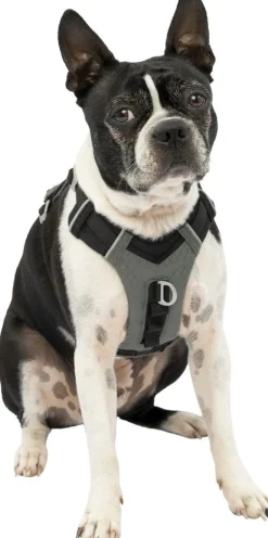 ohgreen Harnas kurgo journey air tuigje -s