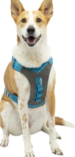 ohgreen Harnas kurgo journey air tuigje bl-l