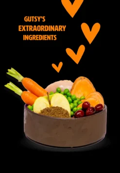 ohgreen Hondenbrokken kip en insect 6kg adult small