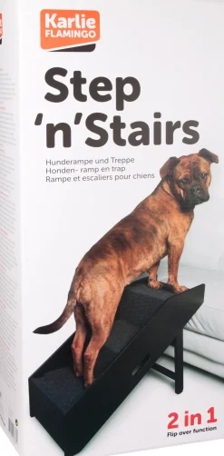 ohgreen Hondenplank en trap pino 62x36x51cm