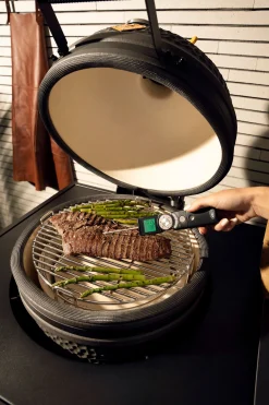 ohgreen Instant thermometer