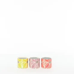 ohgreen Judypot 4 mix