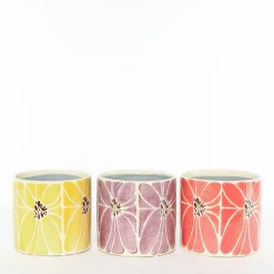 ohgreen Judypot 1 mix