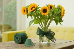 ohgreen Juteband h10cmx25m groen 220g/m²