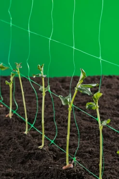 ohgreen Klim-groei-geleidenet 2x5m groen