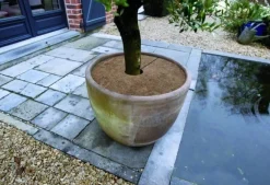 ohgreen Kokosschijf Ø30cm 3 stuks