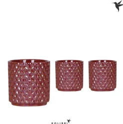 ohgreen Kolibri home diam red potje