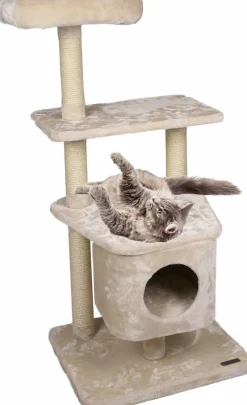 ohgreen Krabpaal Norma